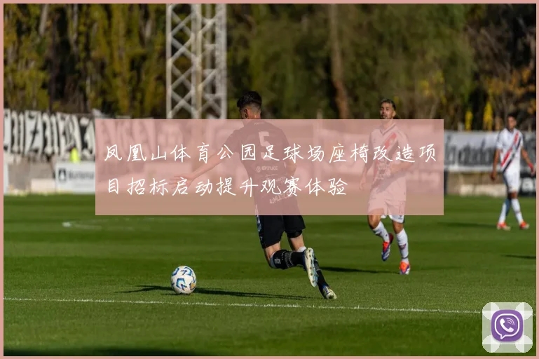凤凰山体育公园足球场座椅改造项目招标启动提升观赛体验