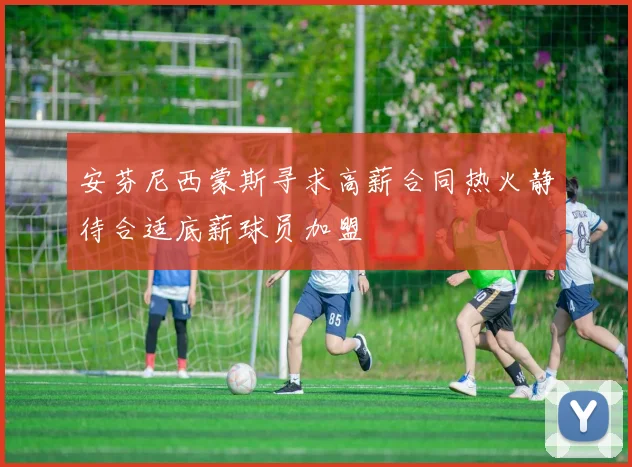 安芬尼西蒙斯寻求高薪合同热火静待合适底薪球员加盟