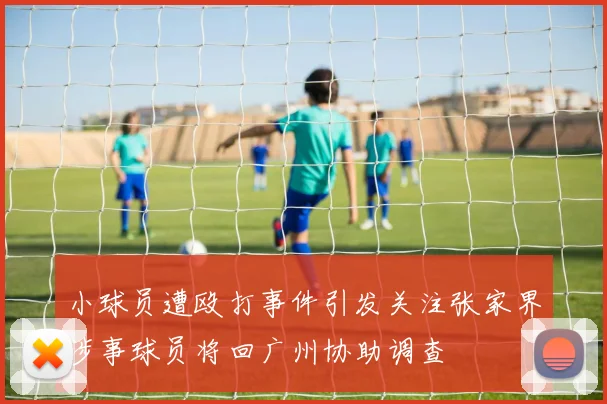 小球员遭殴打事件引发关注张家界涉事球员将回广州协助调查